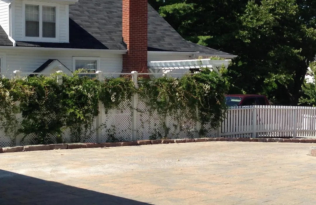 Old Ivy Walk-1